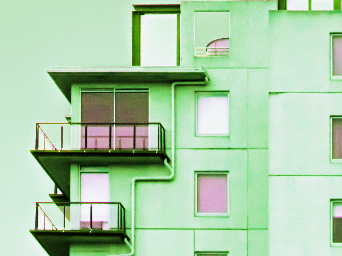 Is this your new&nbsp;neighbor?